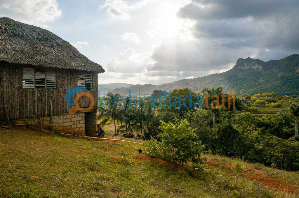 Karadeniz Bölgesinde Bungalov Evler
