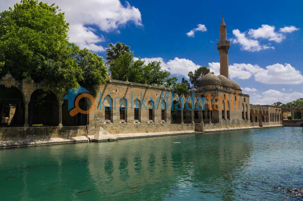 Balıklı Göl: Efsanelerle ve Tarihi Mirasla Dolu Şanlıurfa'nın Gözdesi
