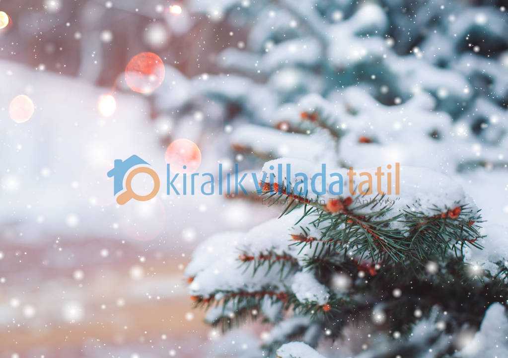 Türkiye'de Kışın Tatil Yapılabilecek Yerler